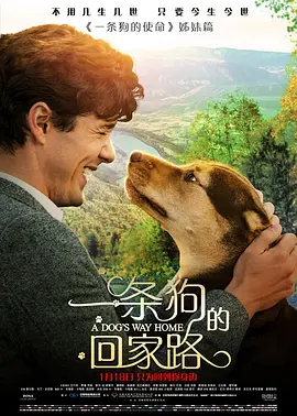 一条狗的回家路 (2019)